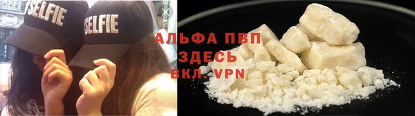 индика Баксан
