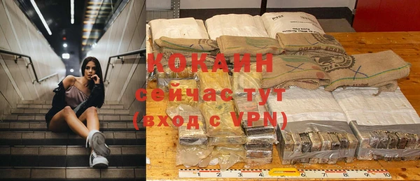 индика Баксан