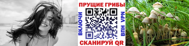 Псилоцибиновые грибы Cubensis  наркошоп  площадка какой сайт  Покровск  MEGA зеркало 